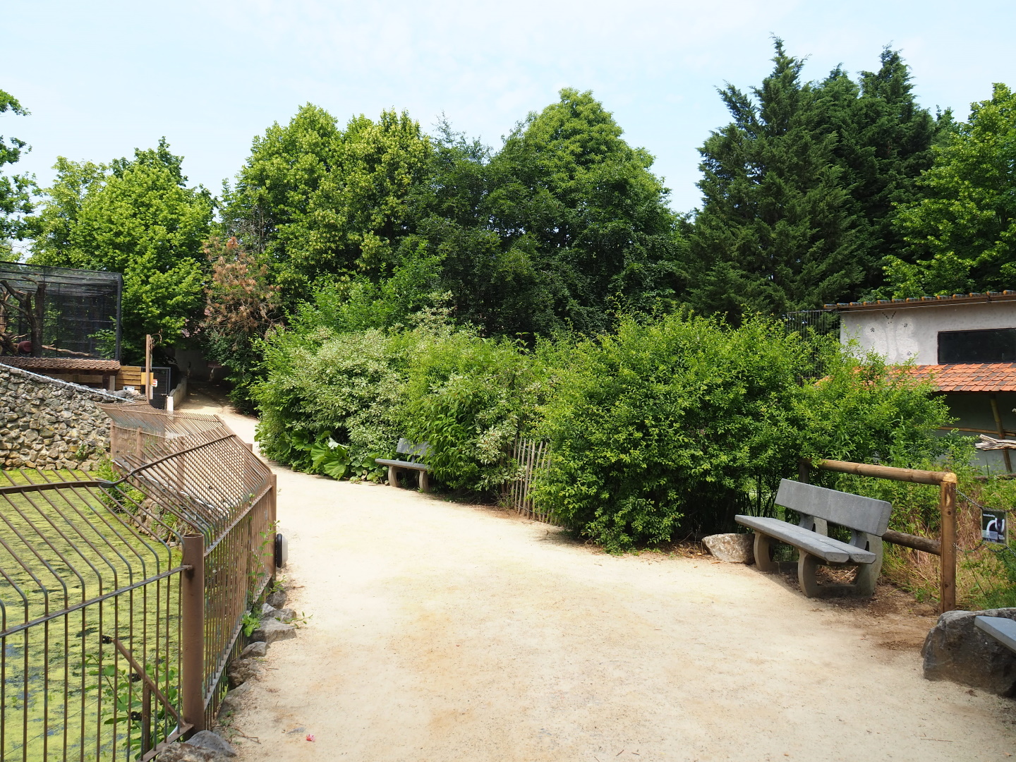 Walkway and viewing area African lions and Black and white ruffed lemurs, 2021-06-15