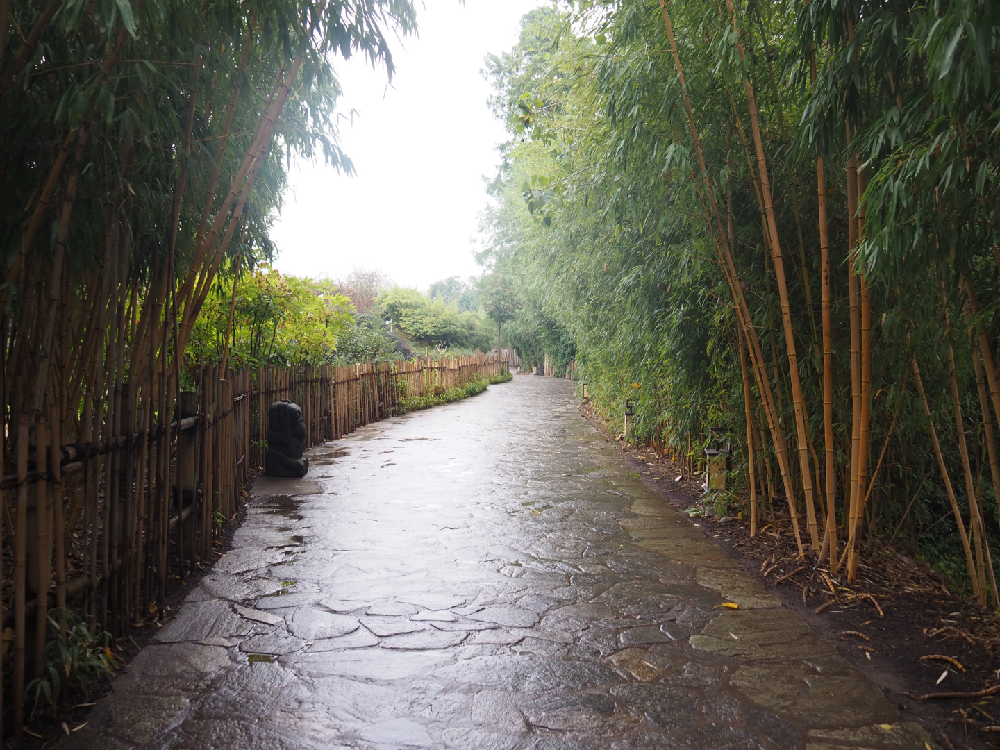 Walkway and viewing area alongside one of the giant panda exhibits, 2022-09-14