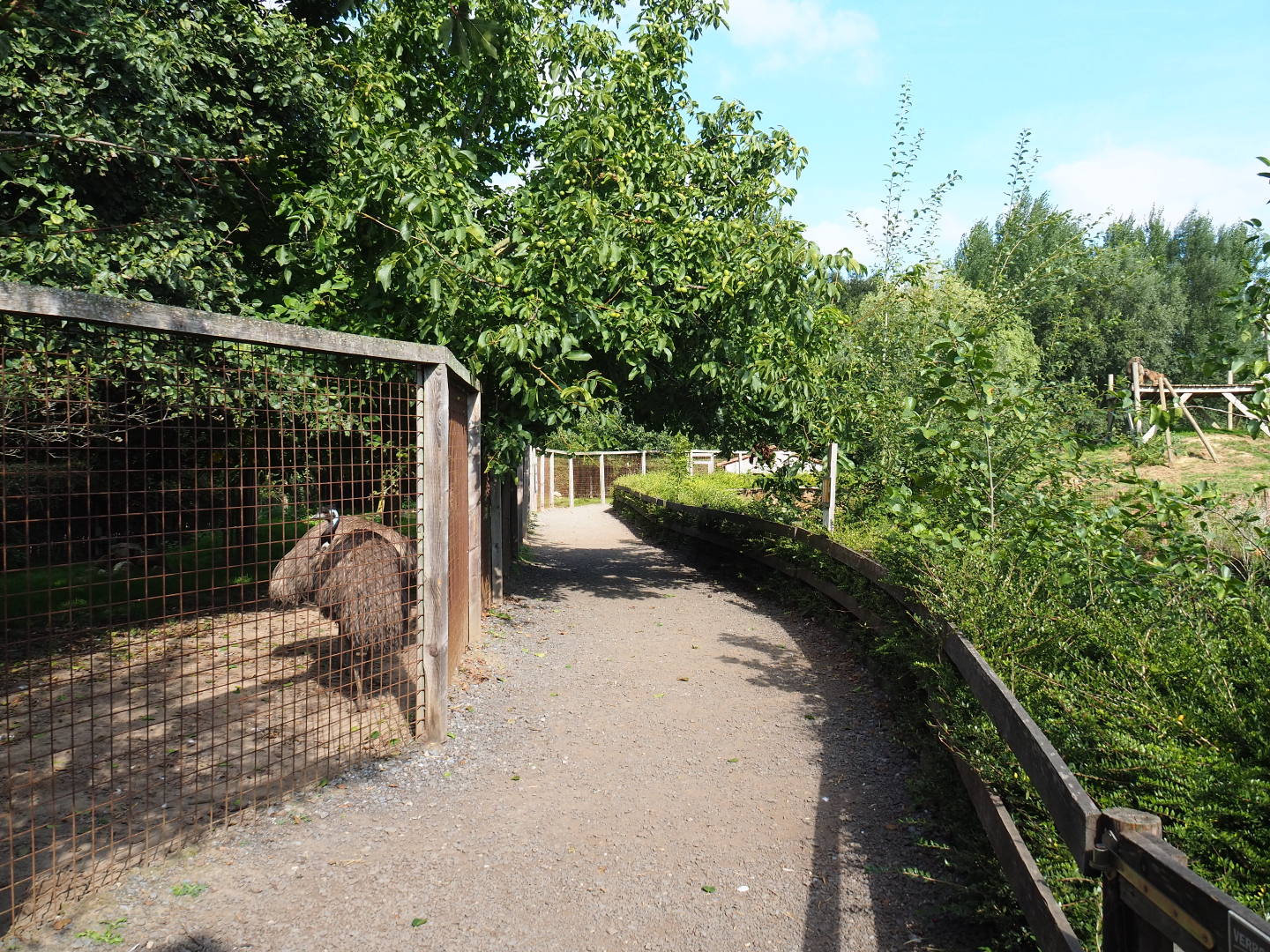 Walkway and viewing area between Emu and Red-necked wallaby paddock and Olive baboon island, 2020-09-12