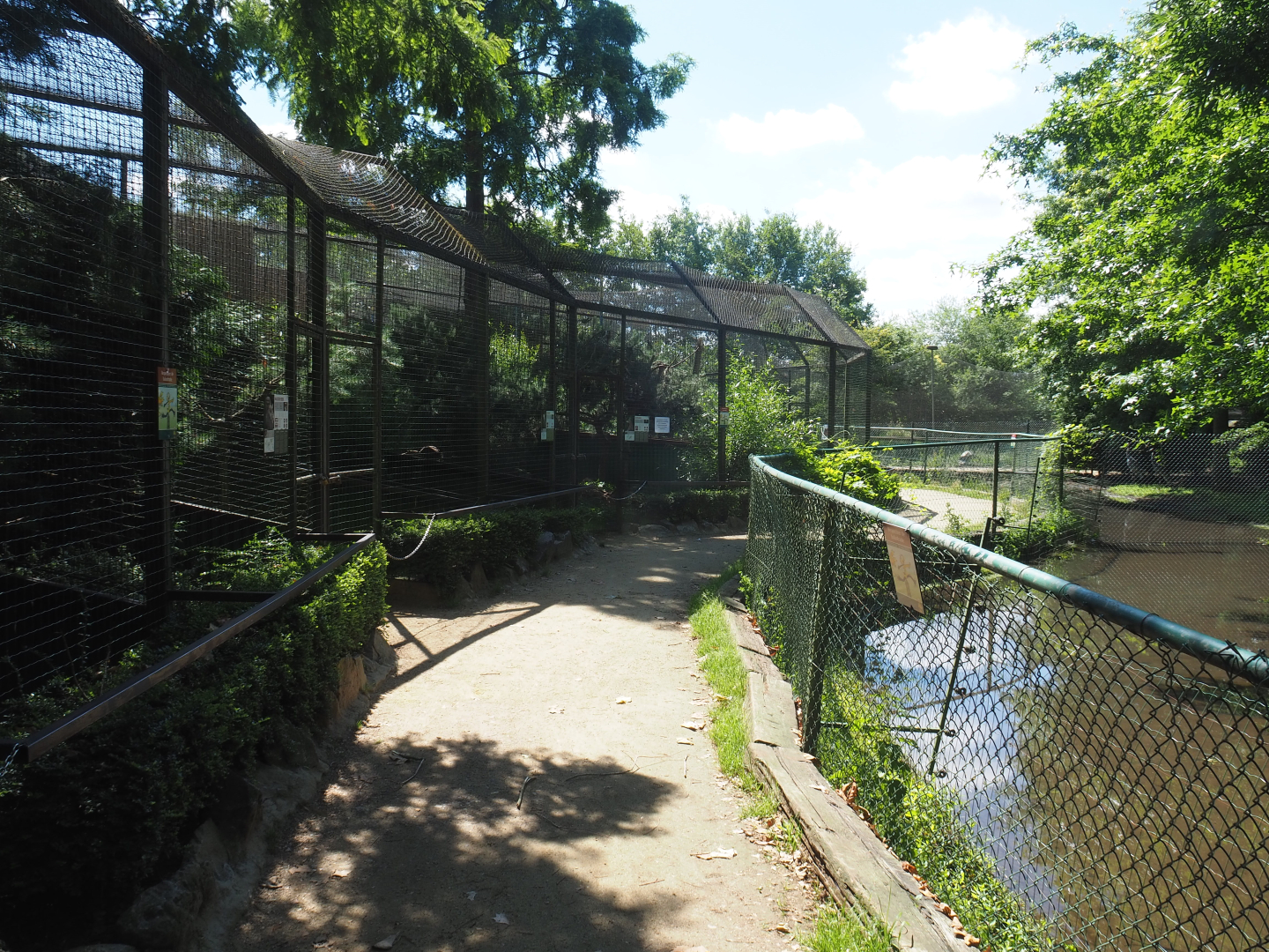 Walkway and viewing area crane exhibits and owl and raptor aviaries, 2020-06-20