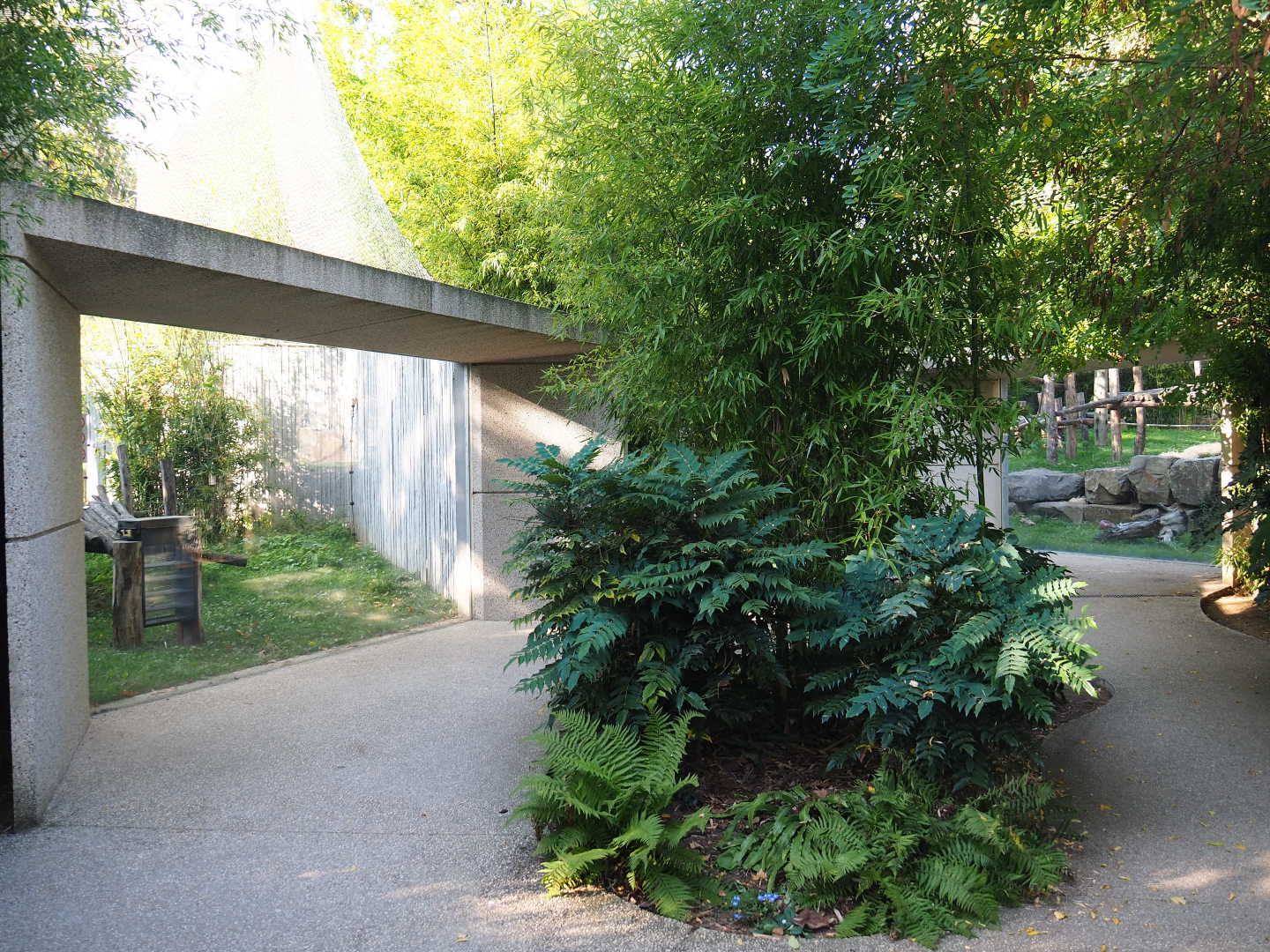 Walkway and viewing areas in the great ape area, 2020-09-20