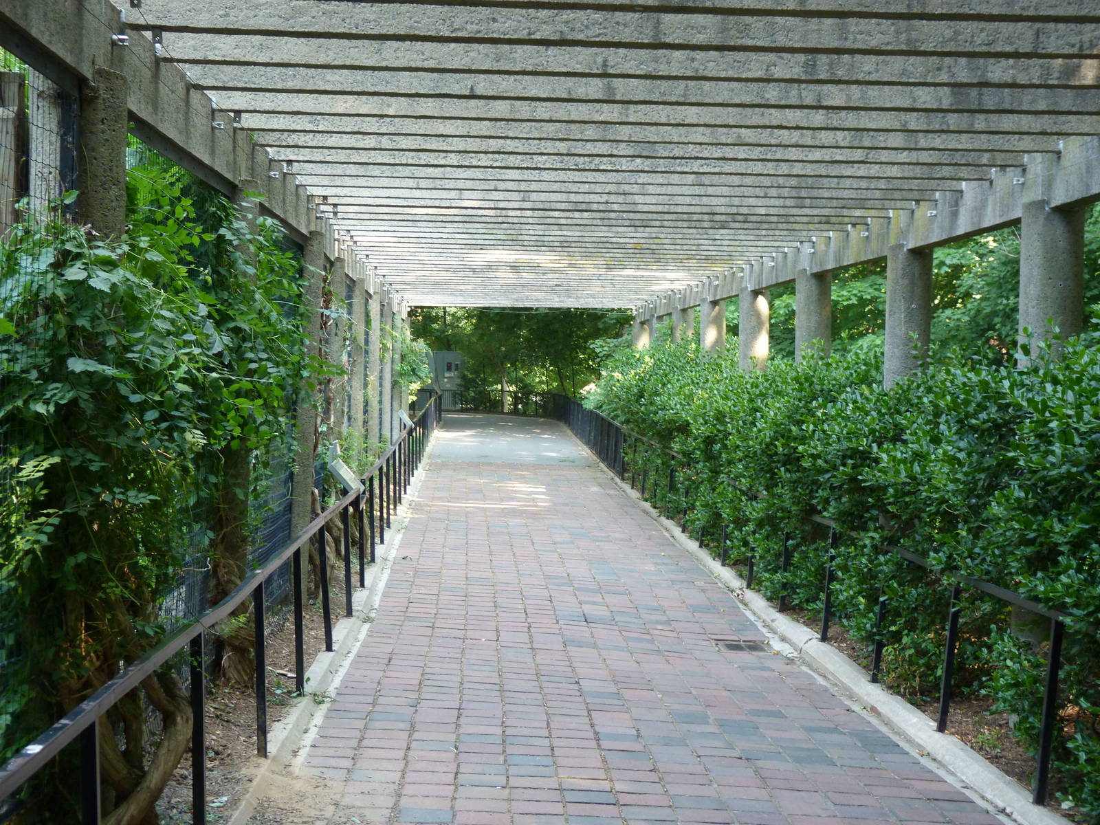 Walkway around outside bird exhibits