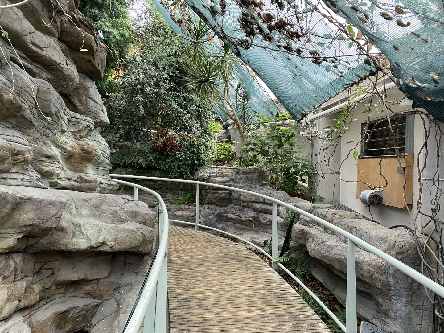 Walkway away from Bay of Rays 110223