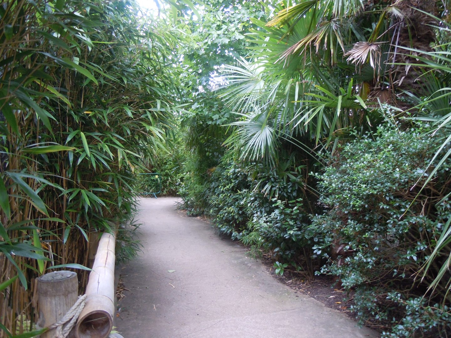 Walkway away from Elephants of the Asian Forest 110920