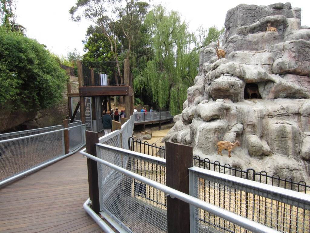 Walkway behind Tahr Mountain