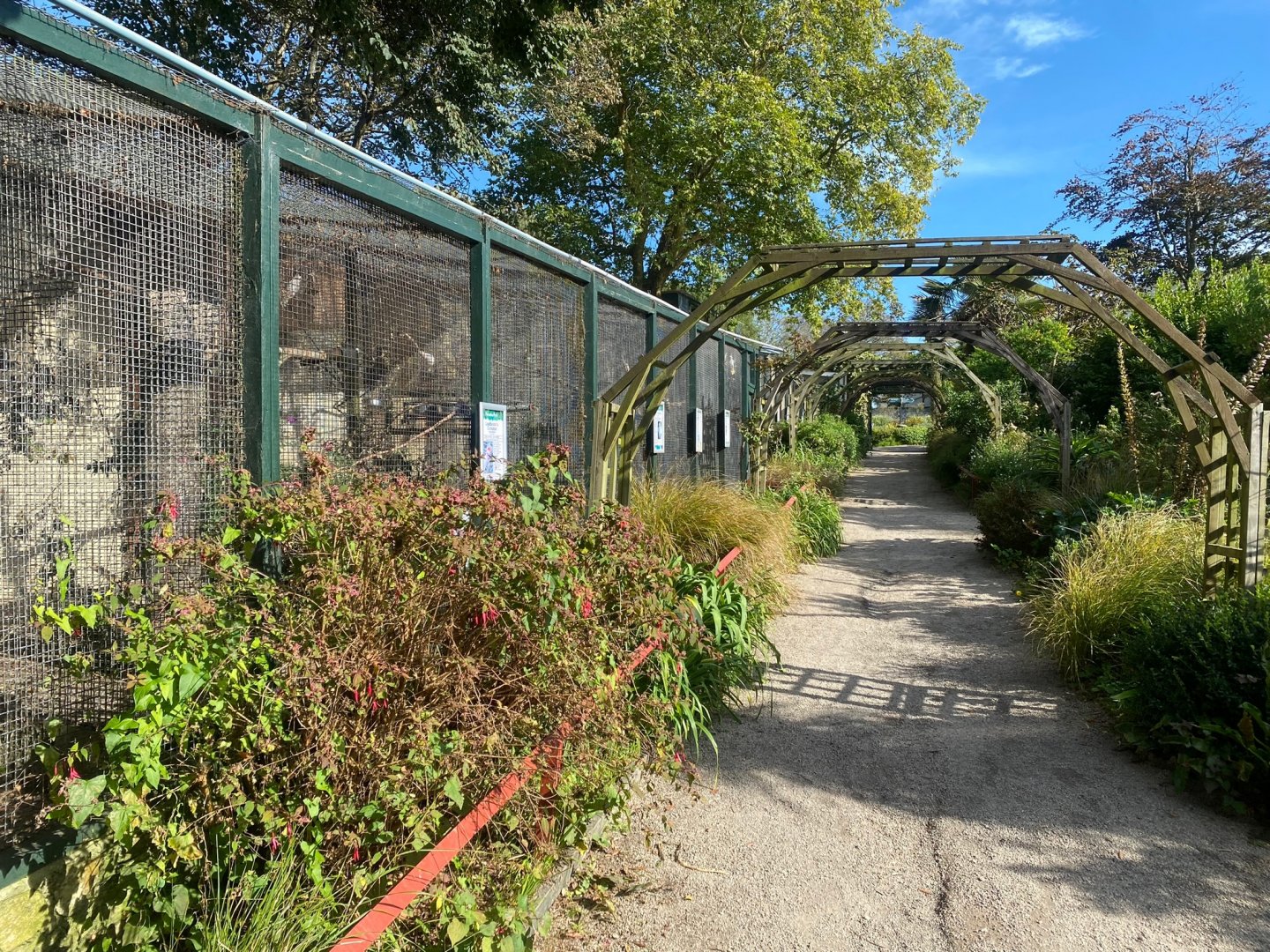 Walkway besides more parrot aviaries 081023