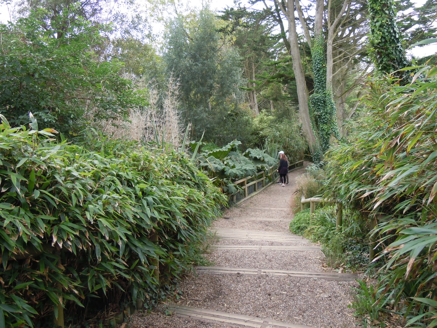Walkway between African Savannah and Marmoset Islands 070920