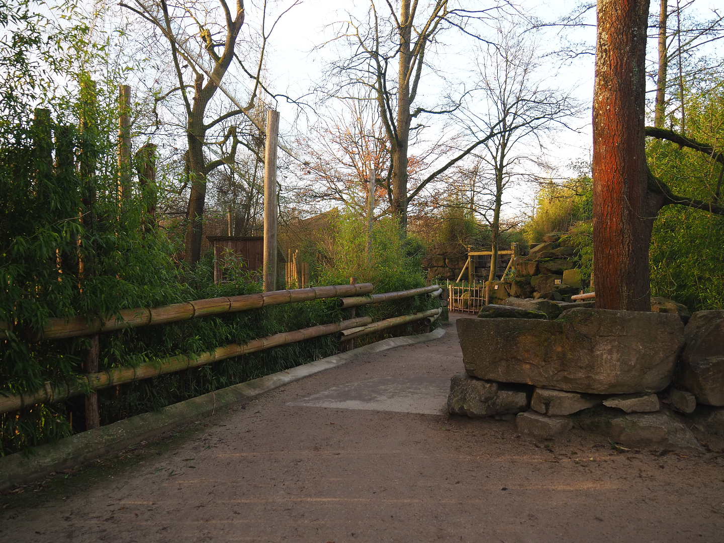 Walkway between Asian elephant exhibit and aviary, 2022-01-30