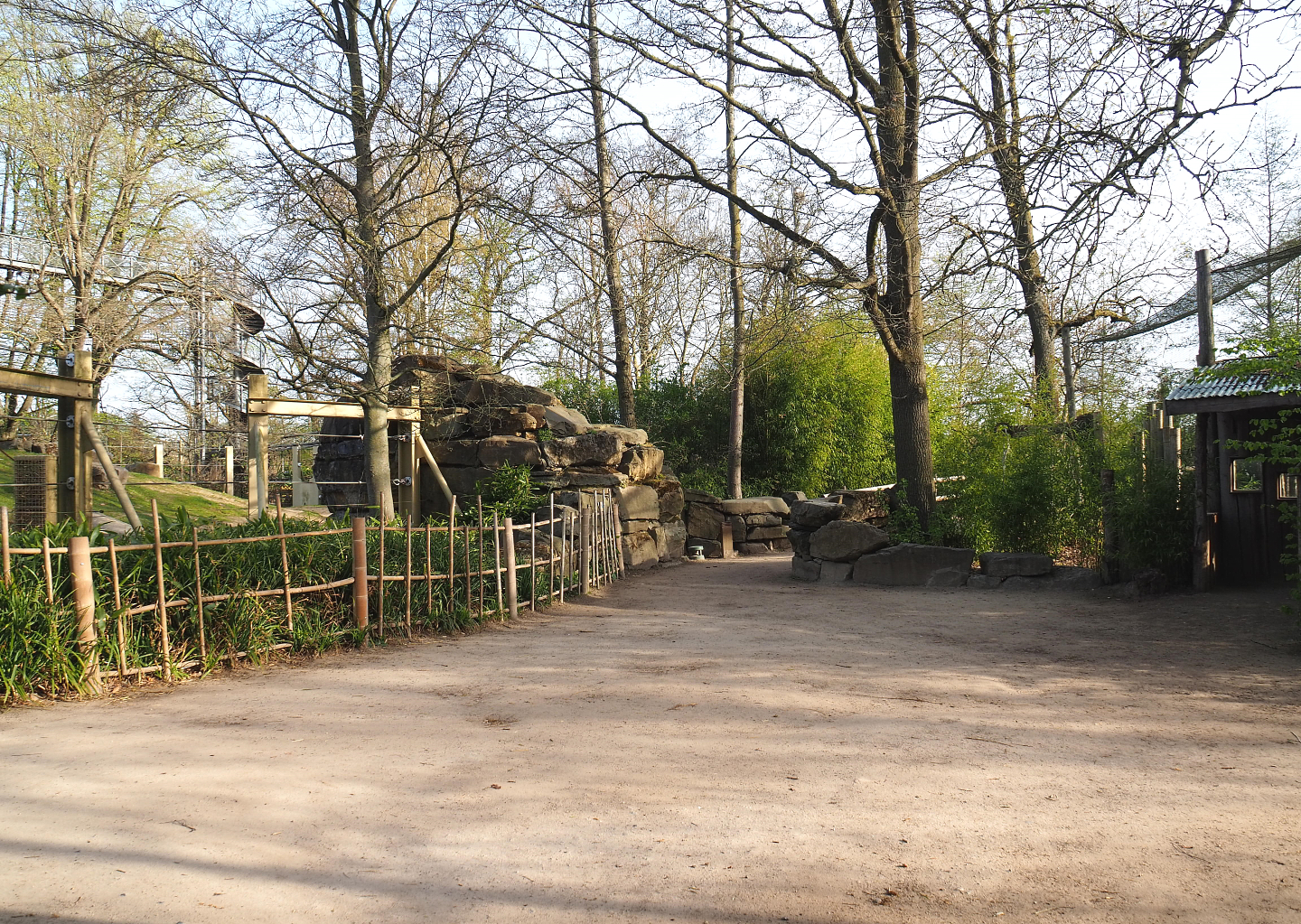 Walkway between Asian elephant feeding/enrichment area and aviary, 2022-04-12