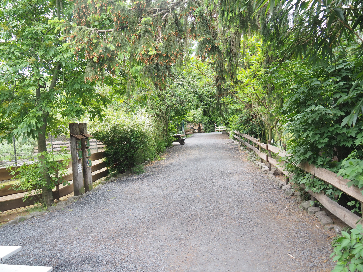 Walkway between aviaries, 2022-05-17