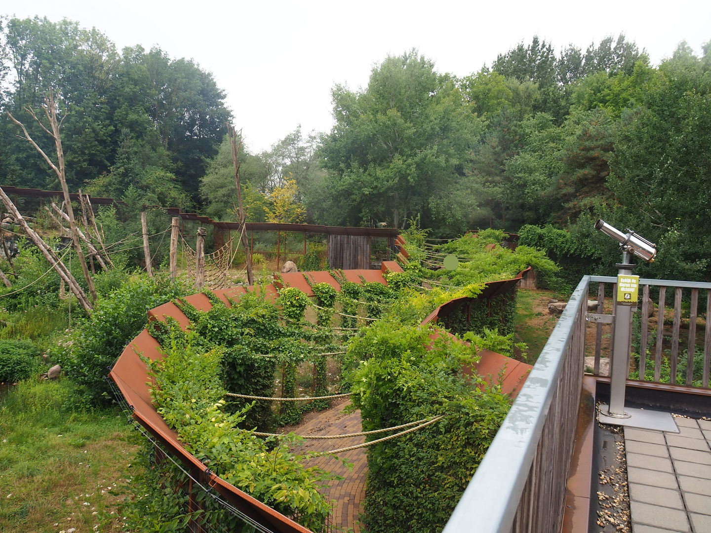 Walkway between Barbary macaque and Eurasian lynx exhibits, 2022-08-20