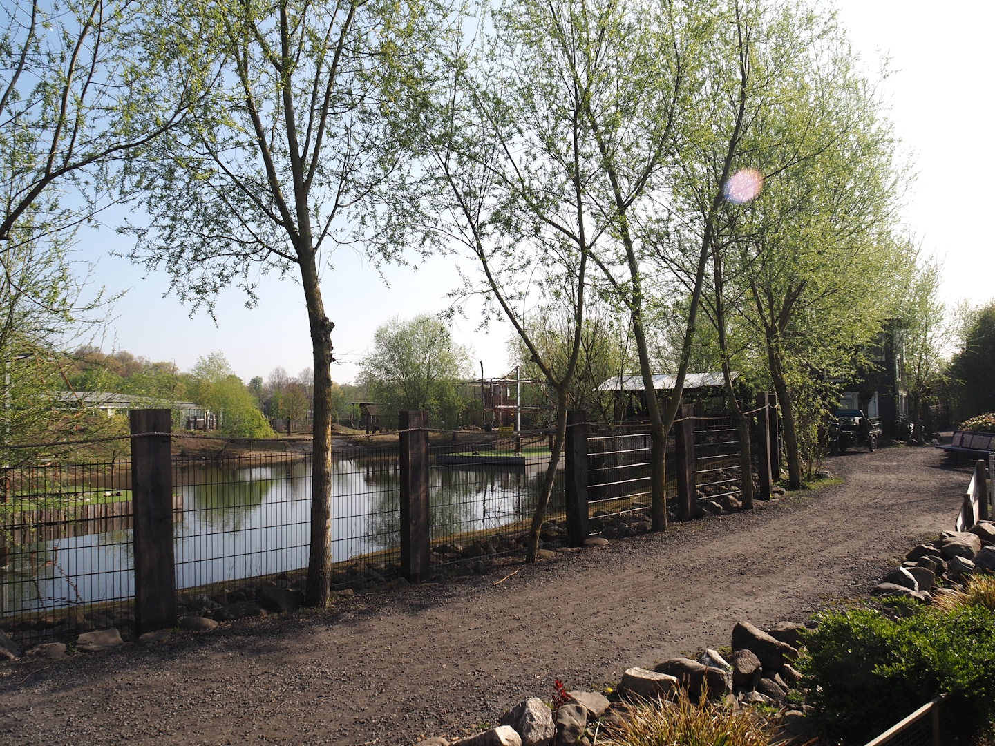 Walkway between Capybara, Giant anteater, Darwin's rhea, waterfowl and turtle exhibit and Bush dog exhibit, 2025-04-12