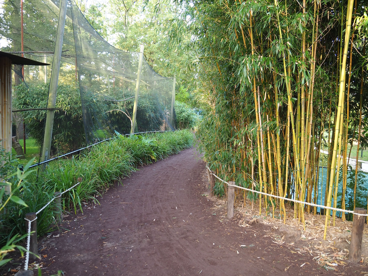 Walkway between Demoiselle crane aviary and Asiatic lion exhibit, 2023-10-04