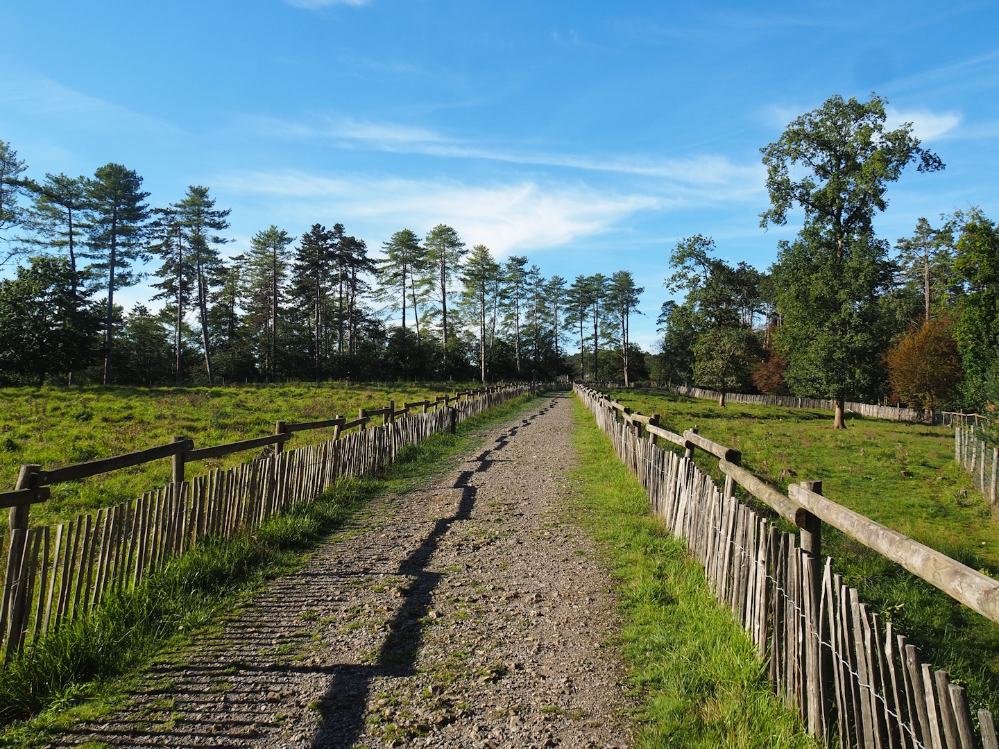 Walkway between Eurasian forest reindeer paddocks, 2023-09-26