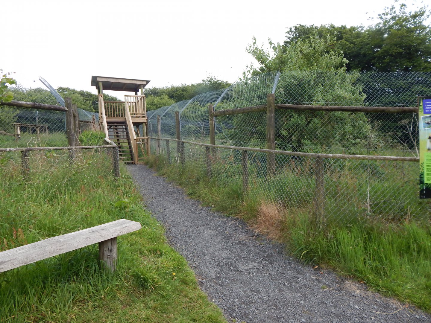 Walkway between European wolverine and African hunting dog enclosures 050625
