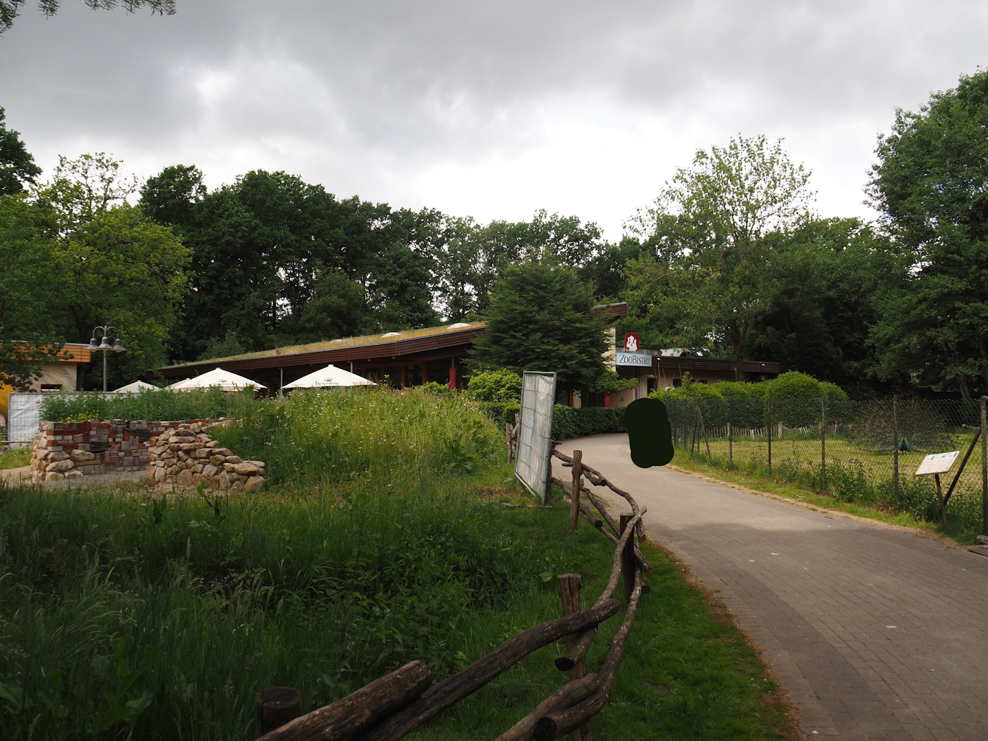 Walkway between Exploration garden under construction, ZooBistro and Blue peafowl, Demoiselle crane and Hawaiian goose exhibit, 2025-05-22