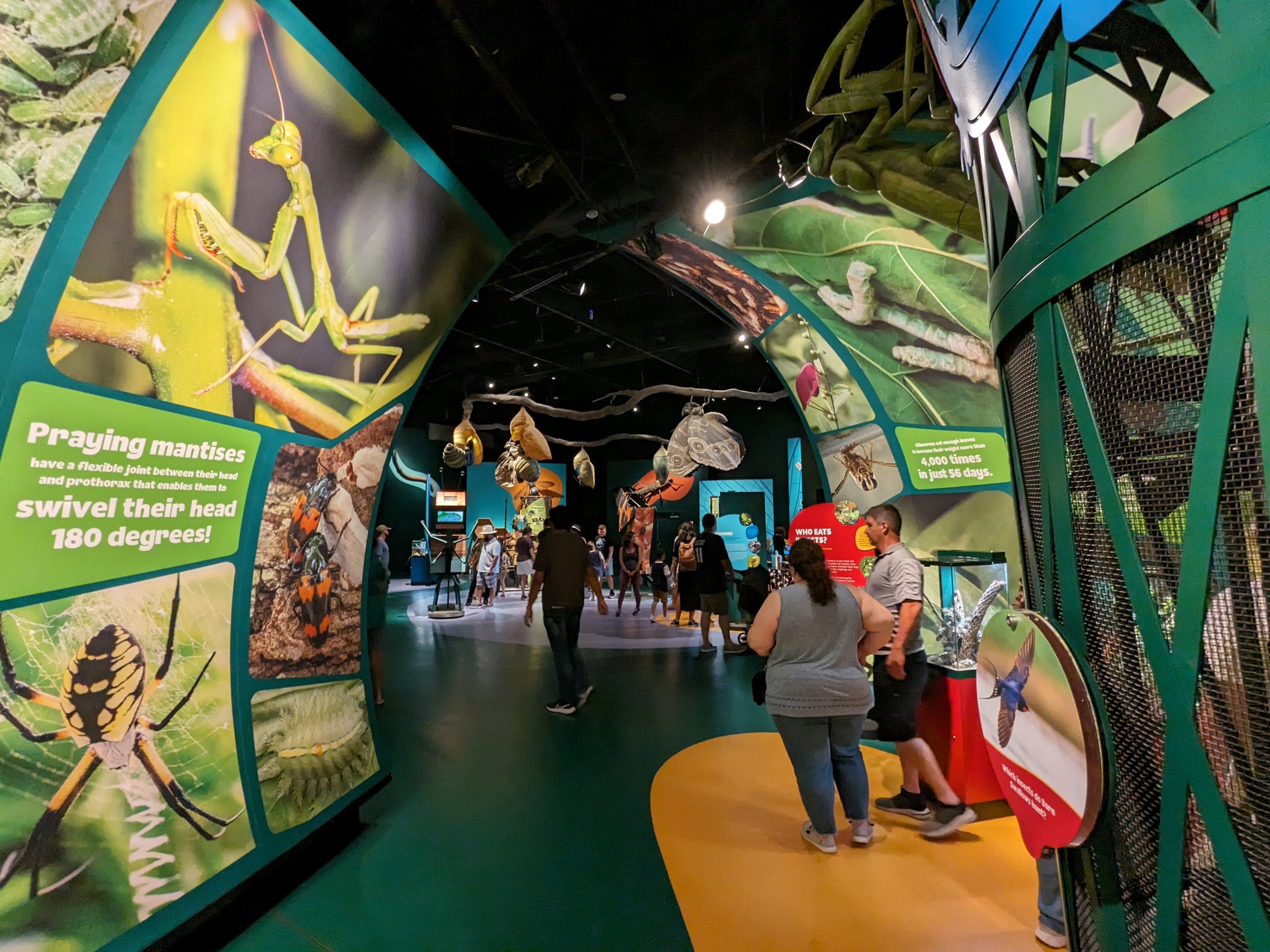 Walkway between galleries