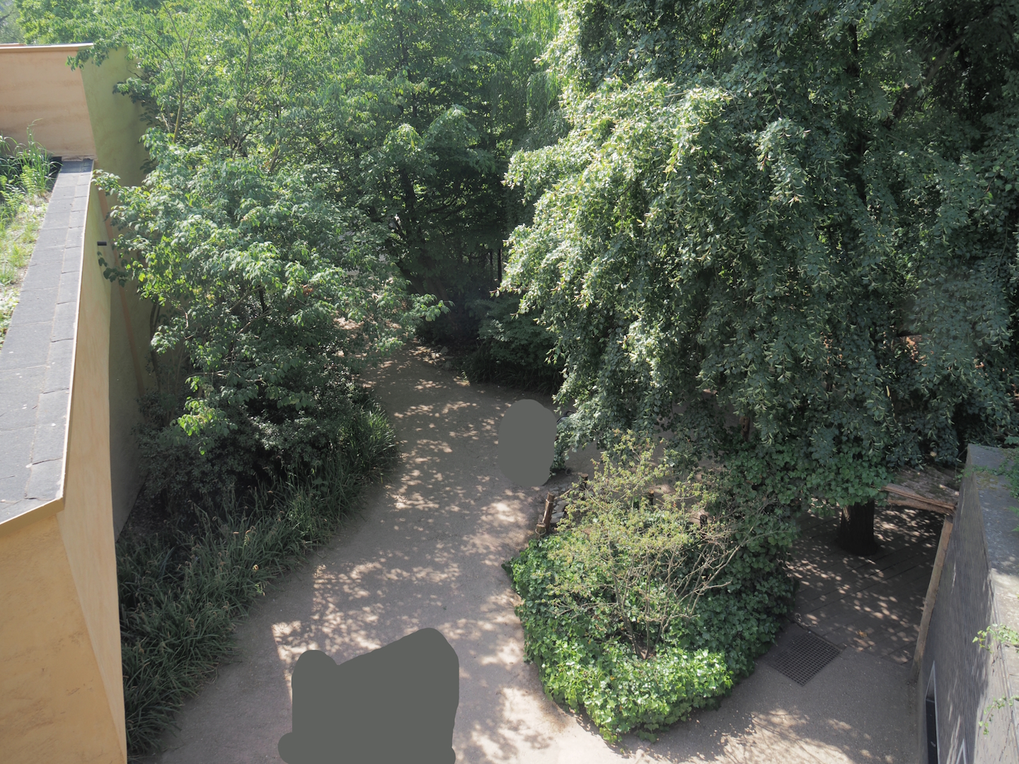 Walkway between hippo and tapir houses seen from the access to the upper viewing area on top of the hippo house, 2025-05-14