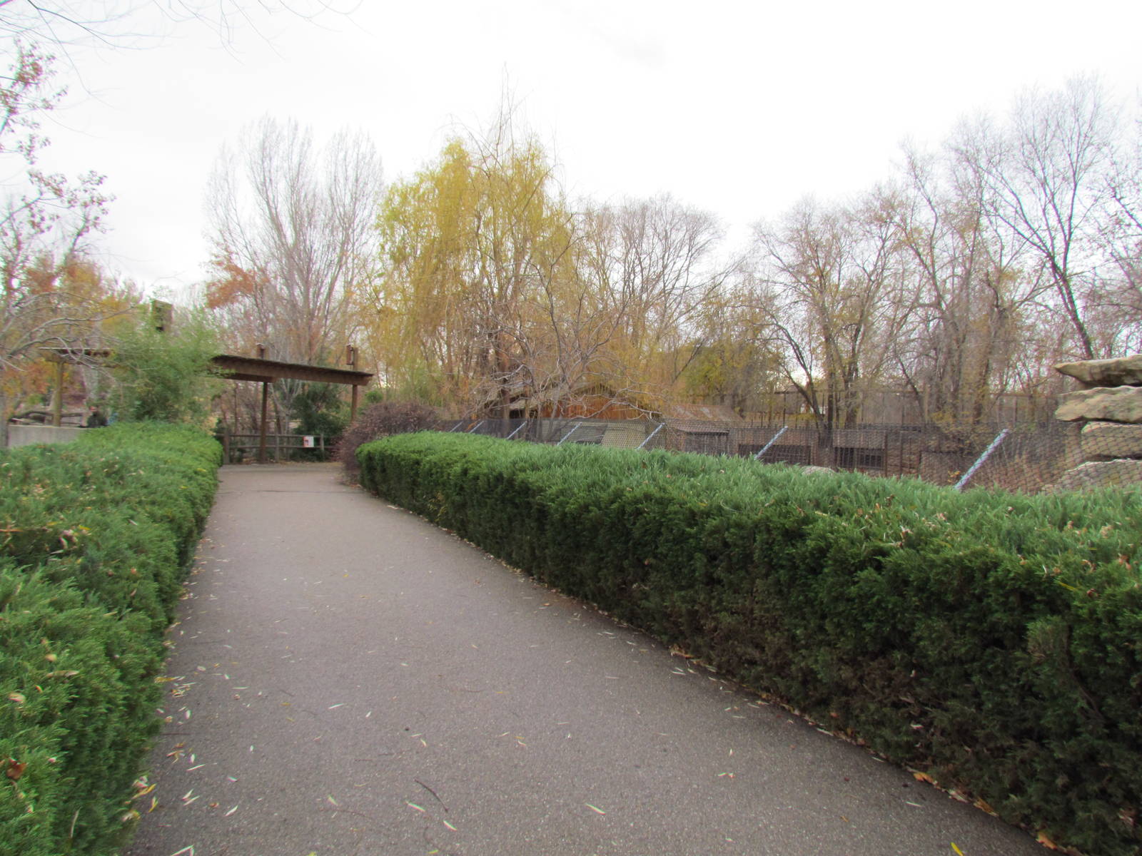 Walkway between Hyena and Warty Pigs