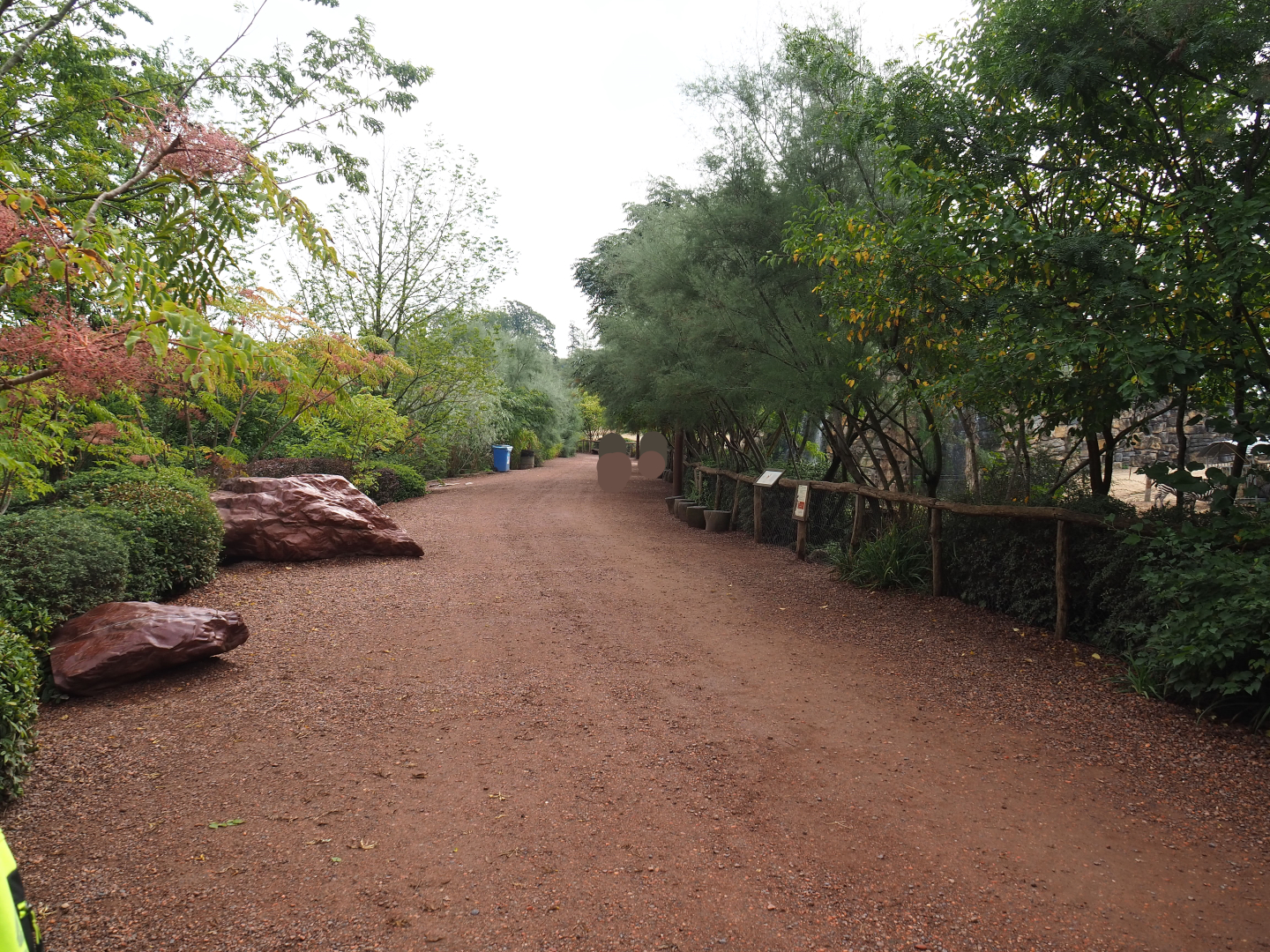 Walkway between mixed savanna paddock and cheetah exhibit, 2022-09-15