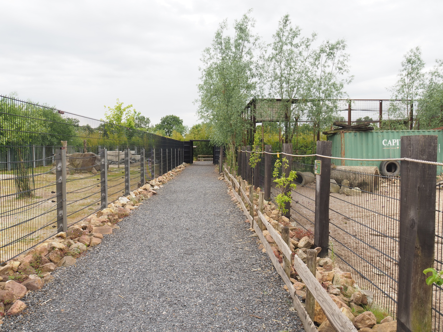 Walkway between Rocky Mountain goat and White-lipped peccary paddocks, 2022-05-17