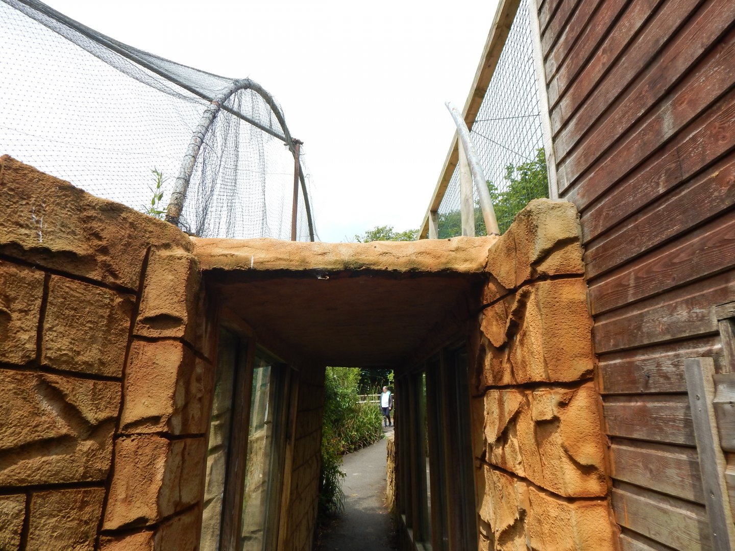Walkway between Shoebill aviary and Abdim's stork/Puna ibis aviary 050625