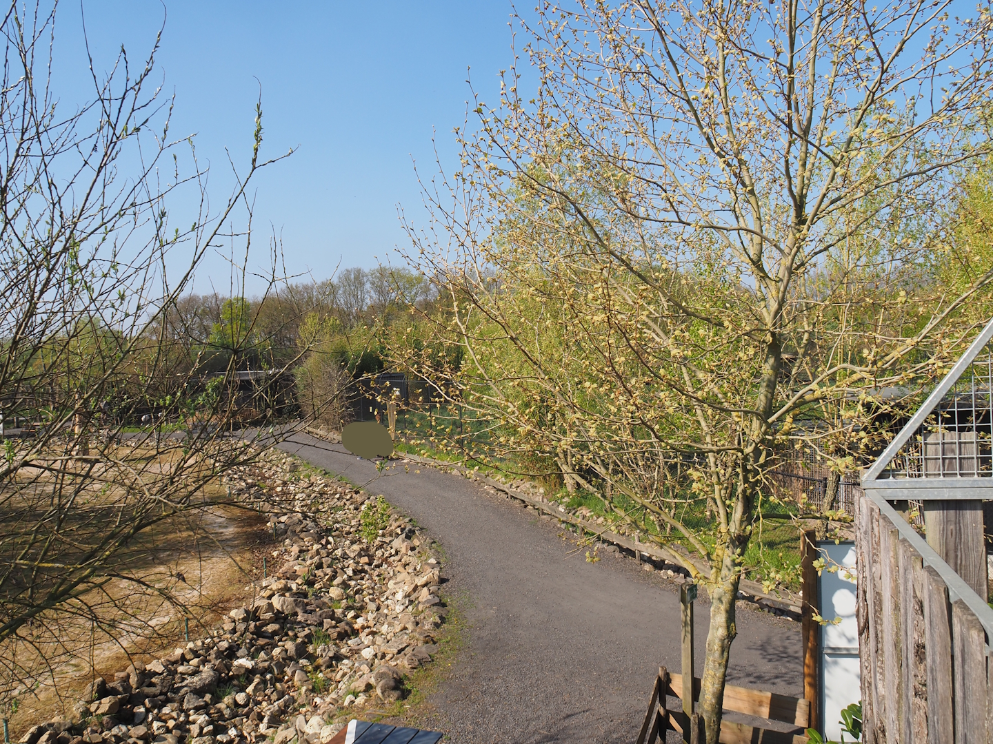 Walkway between the Domestic Bactrian camel and Chinese dhole exhibits, 2025-04-12
