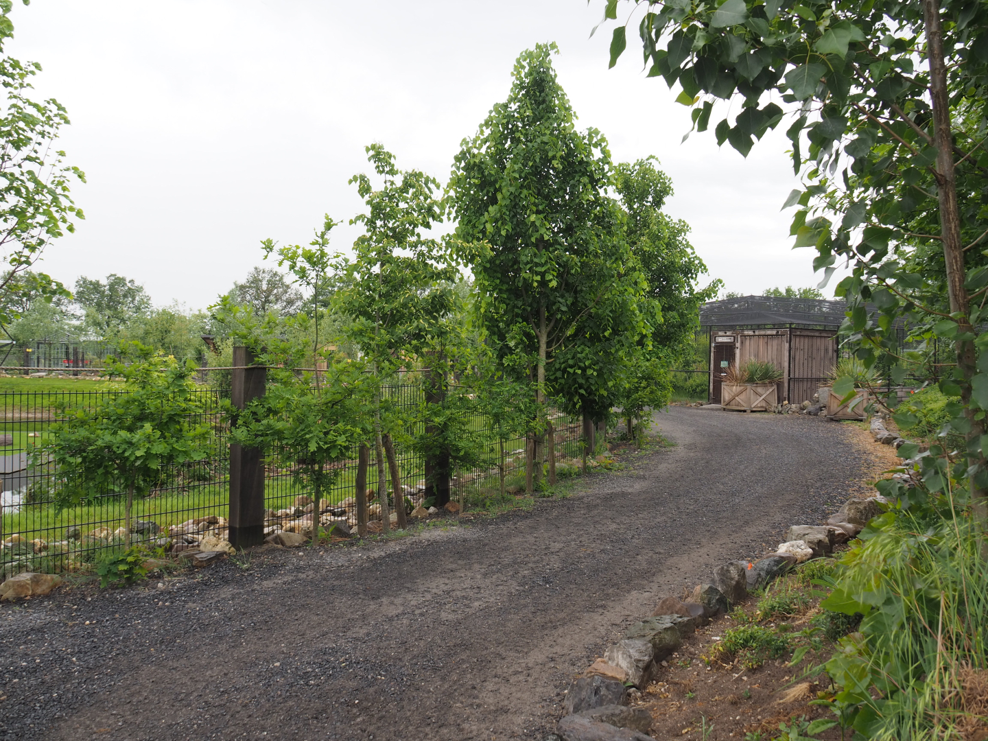Walkway between the South American exhibit and the new wetland aviary, 2022-05-17