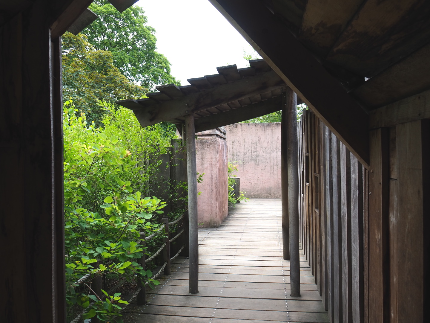 Walkway between the viewing areas on the roof of the hippopotamus house, 2021-06-12