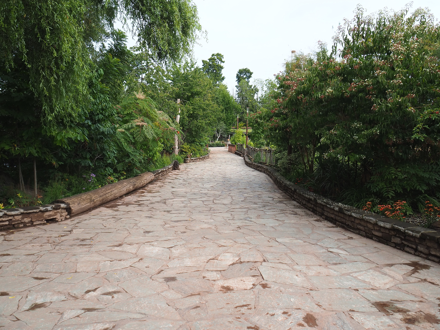 Walkway from African villages to Australian area, 2022-09-15