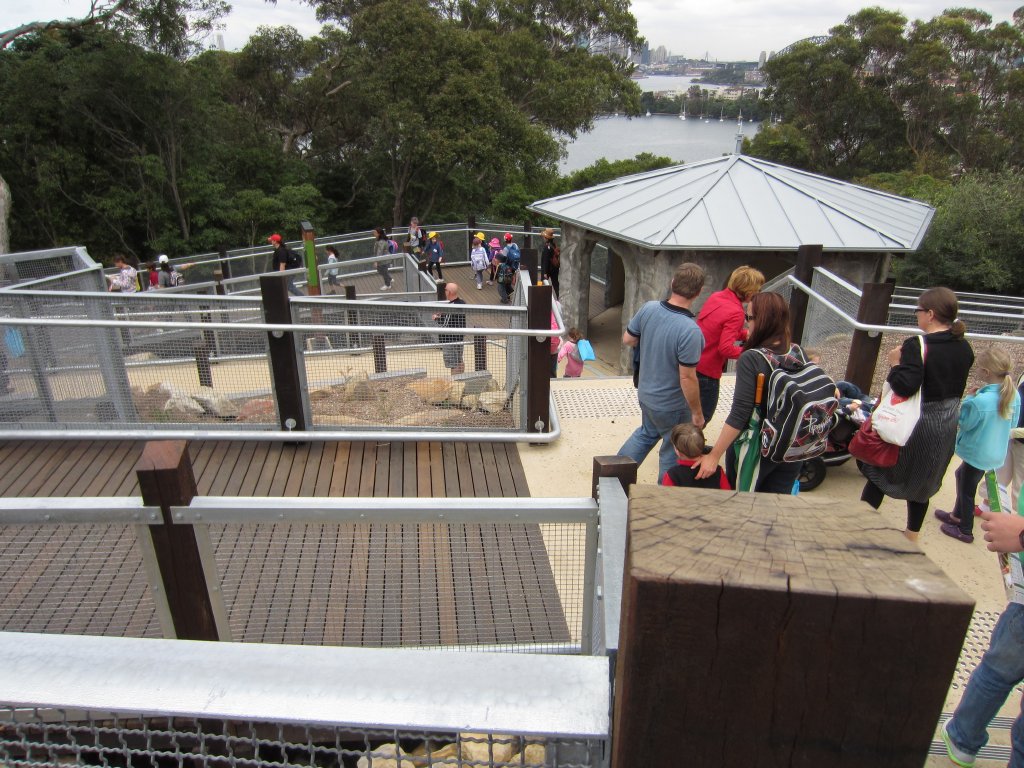 Walkway from Barbary Sheep to Bongos and Tahrs