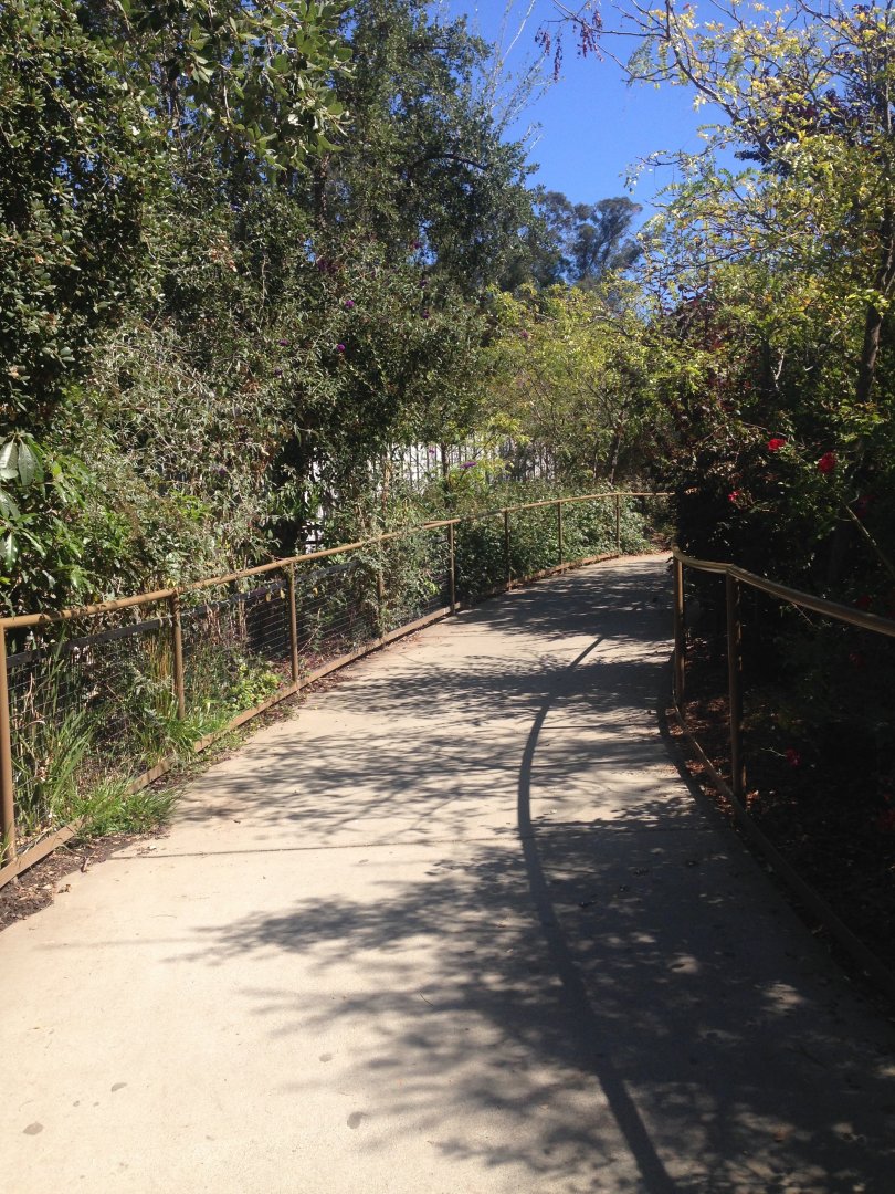 Walkway From Goat Yard