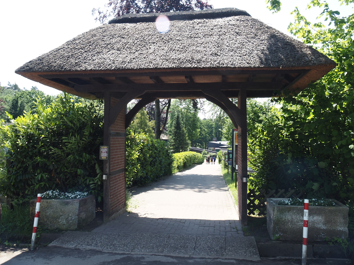 Walkway from parking lot to Weltvogelpark Walsrode, 2024-05-21