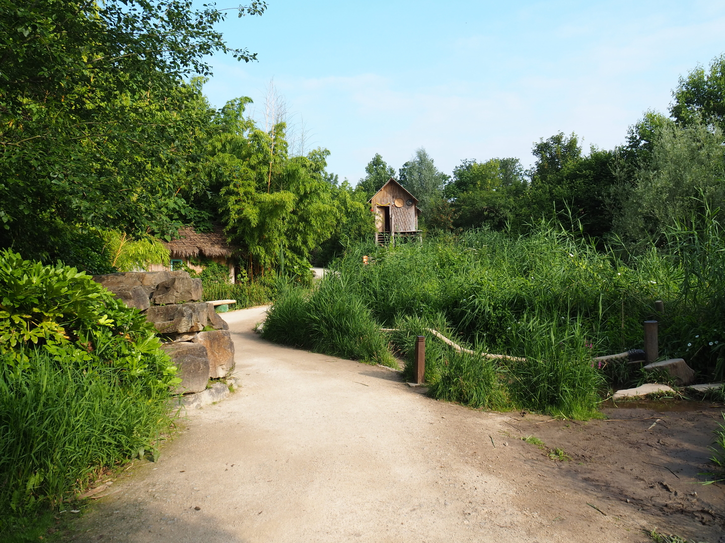 Walkway from the outdoor elephant viewing areas to the elephant house, 2021-07-20