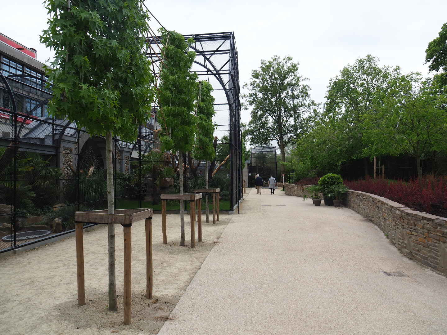 Walkway in between parrot aviaries and okapi paddock, 2020-05-24