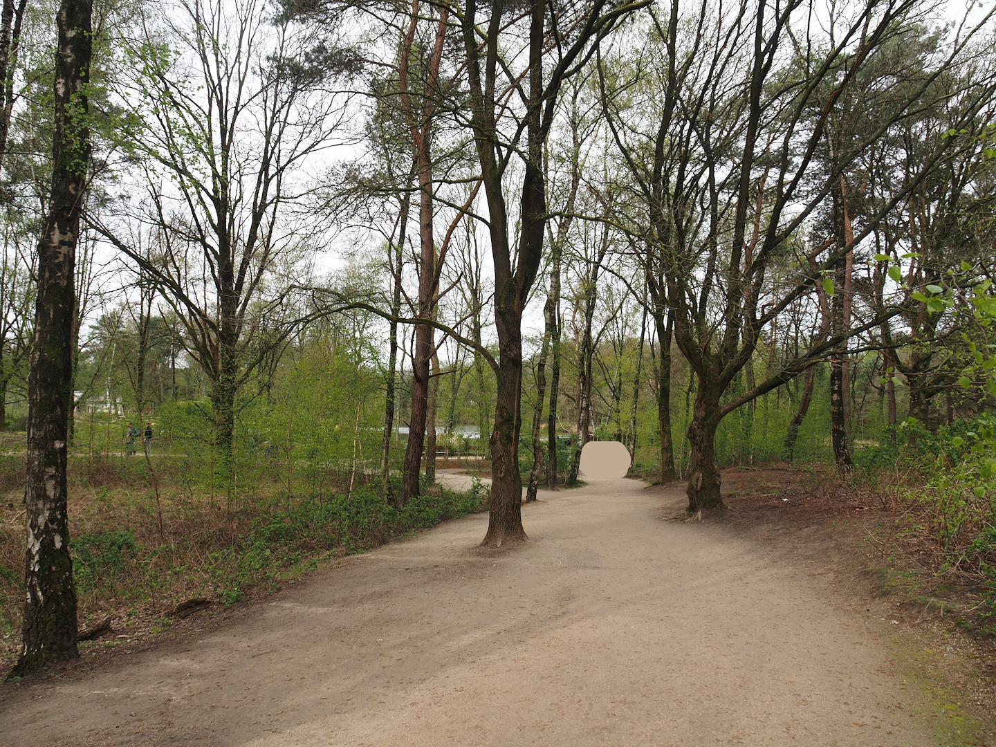 Walkway in black rhinoceros area, 2024-04-06