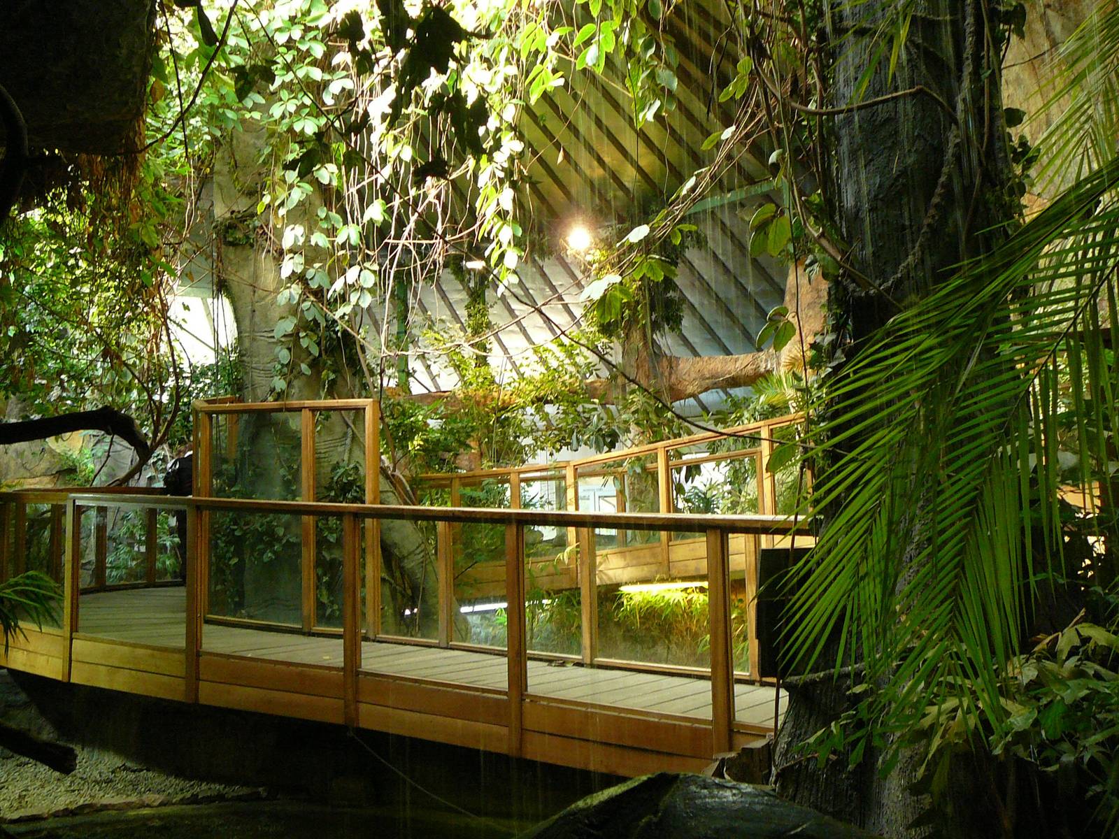 Walkway in new tropical house, Riga Zoo