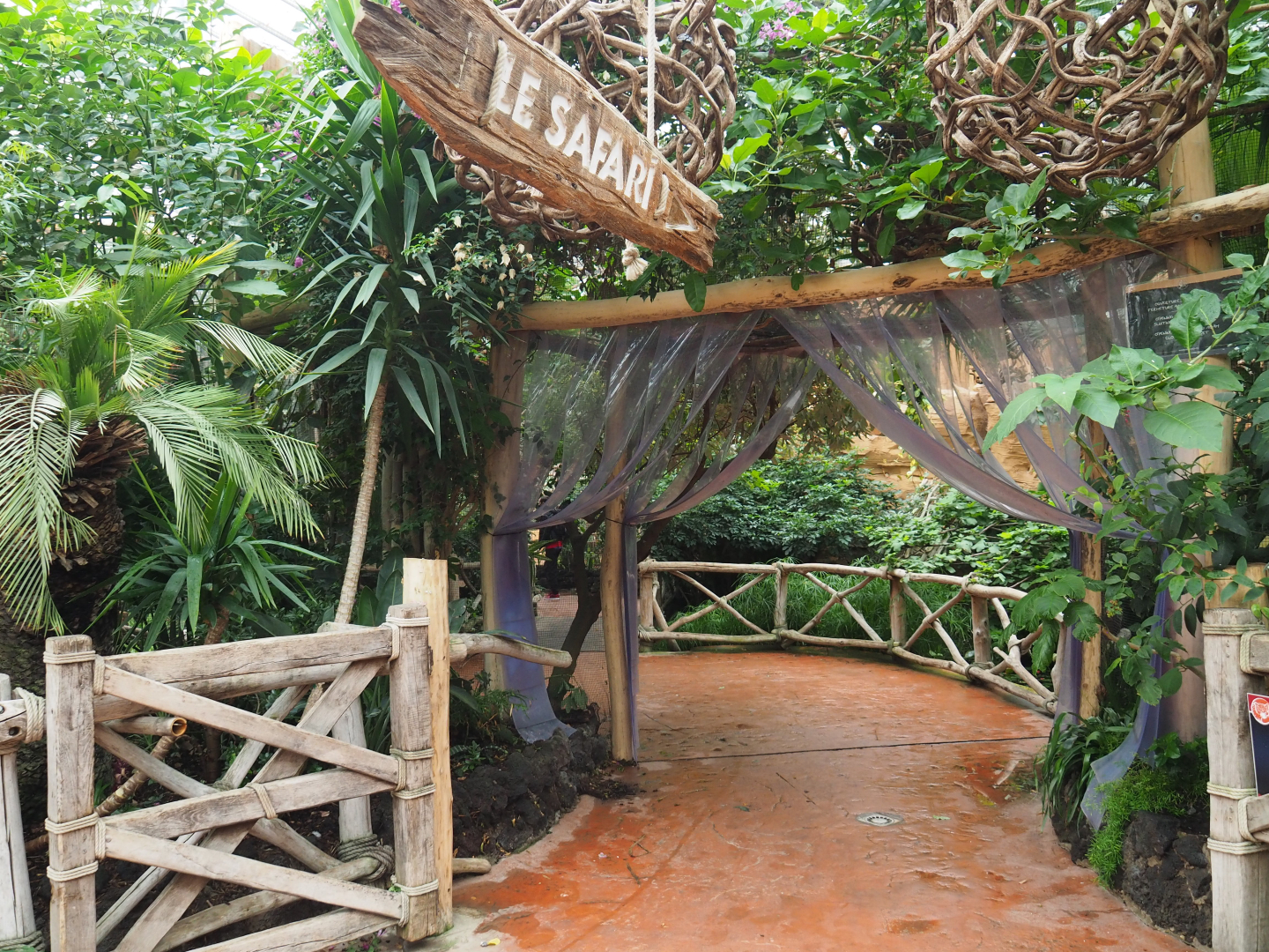 Walkway in Oasis with access to former aracari area/current macaw area, 2020-09-03