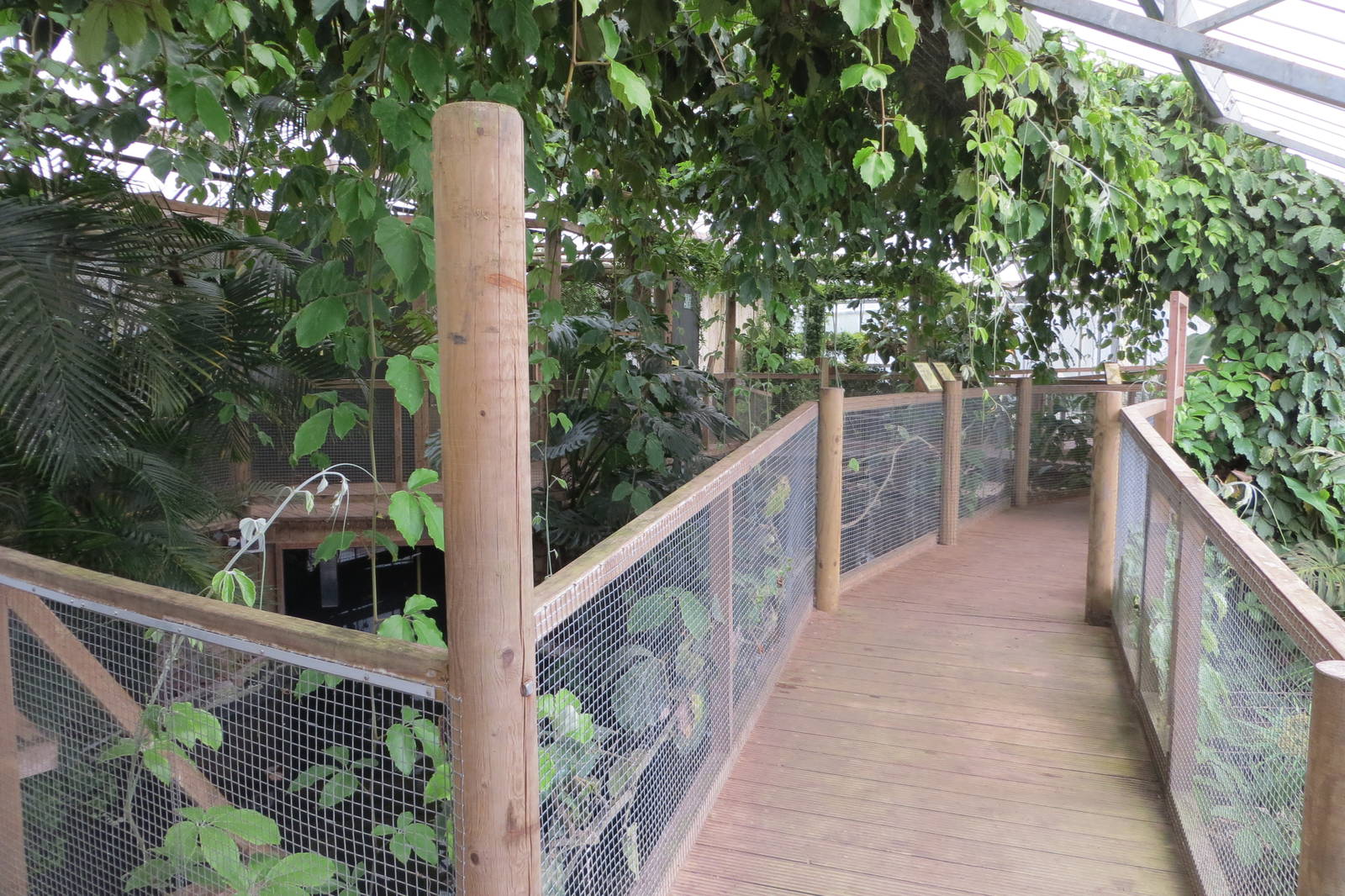 Walkway in Swamp House 060515