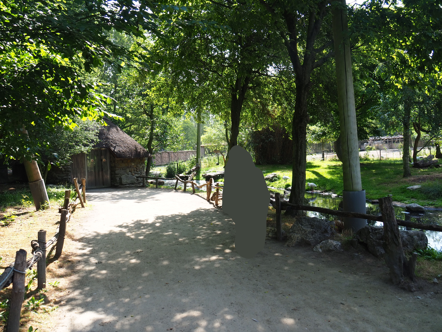 Walkway in the African waterfront aviary, 2020-06-12