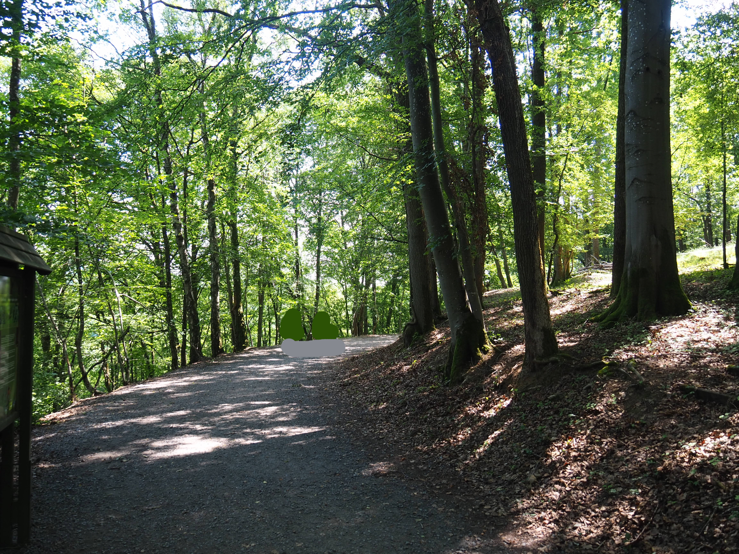 Walkway in the Alpine chamois area, 2020-07-12