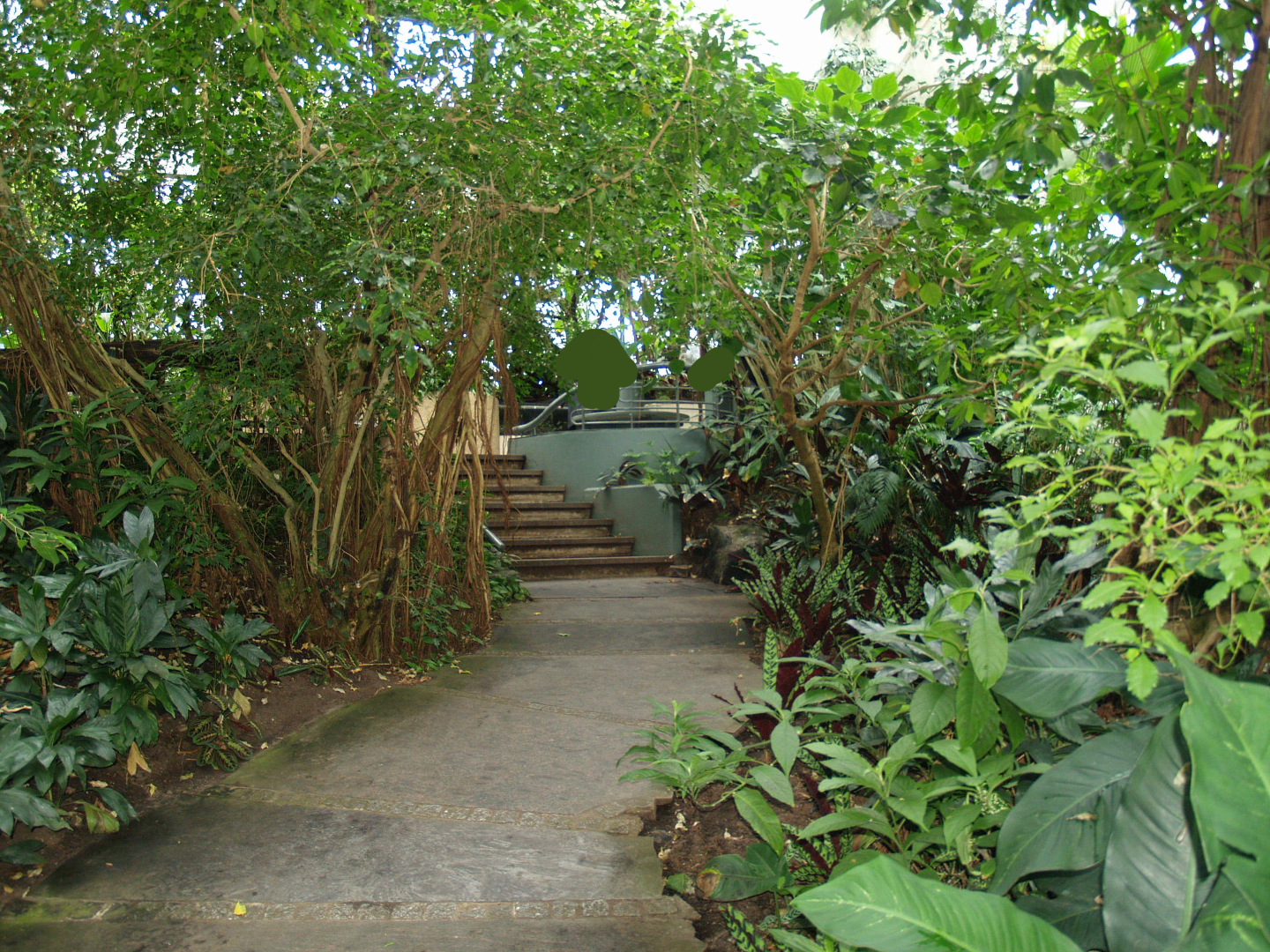 Walkway in the Americasa, 2008-03-01