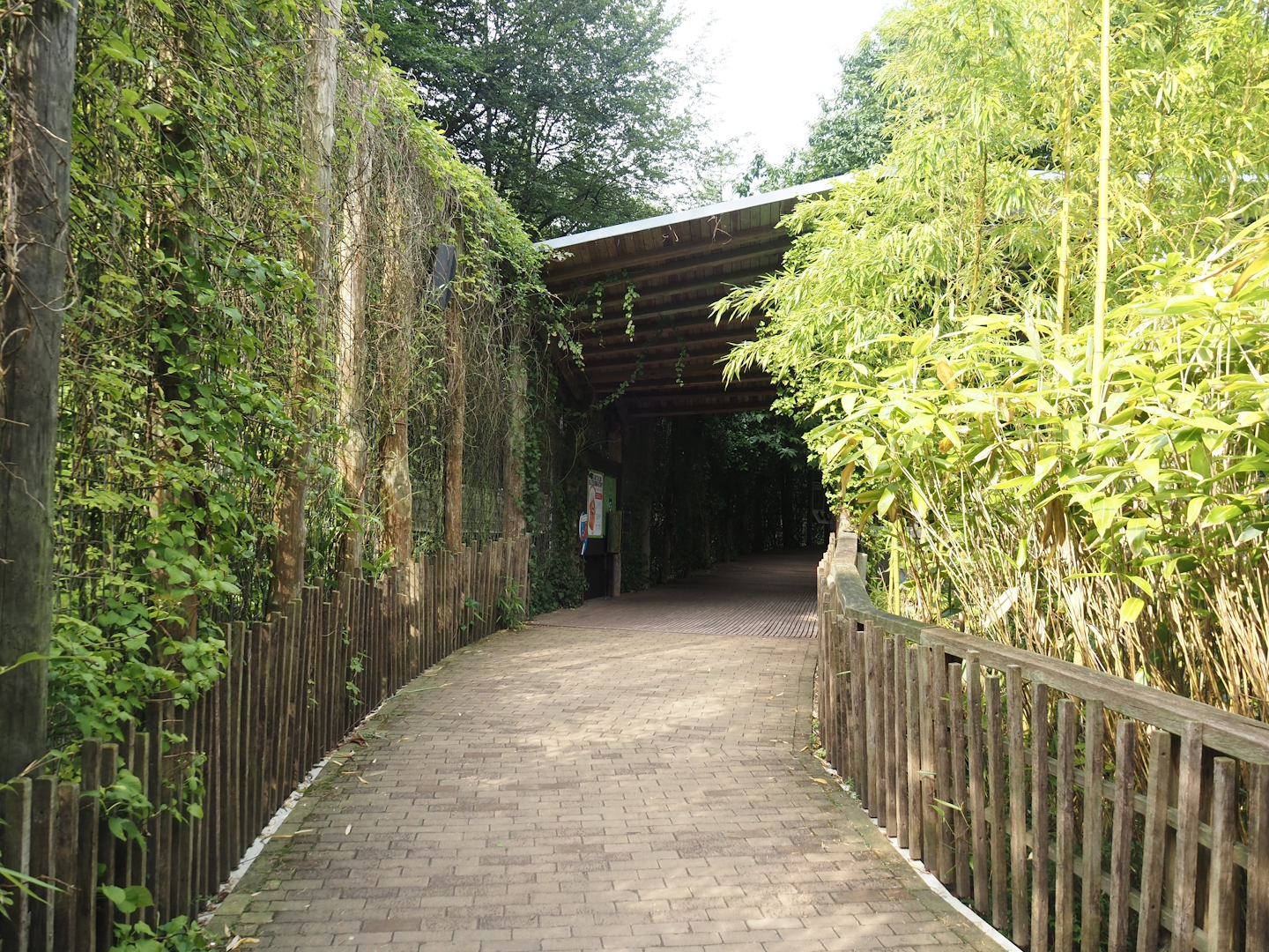Walkway in the Bornean orangutan area, 2024-08-18