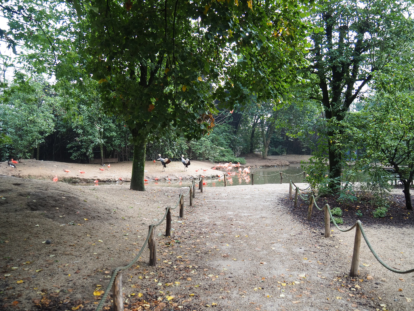 Walkway in the Cathedral aviary, 2022-09-15