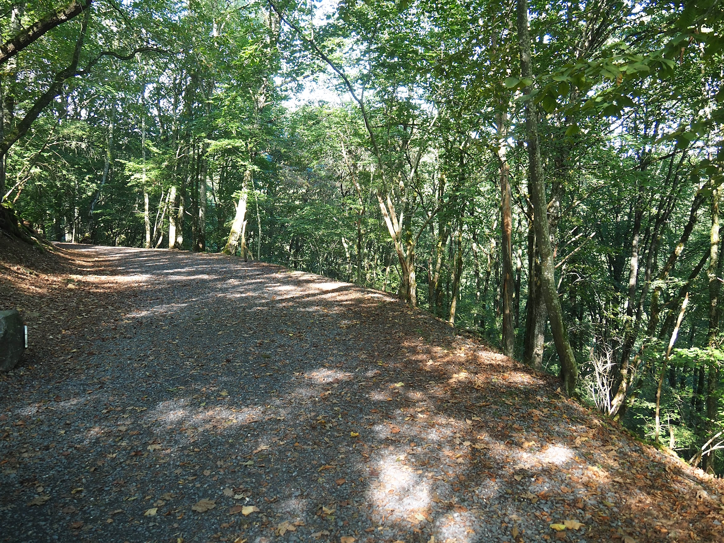 Walkway in the chamois area, 2023-09-26