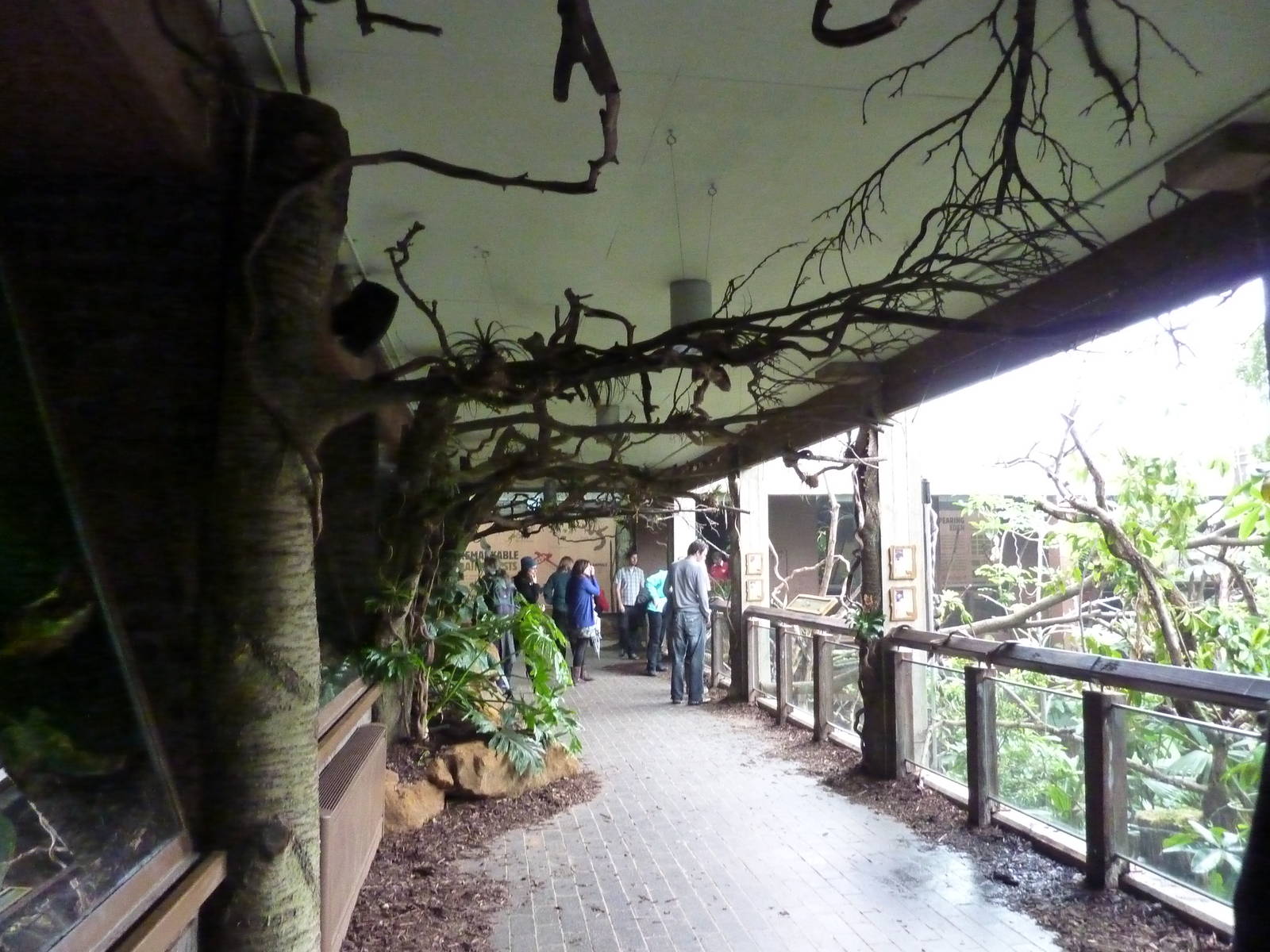 Walkway in the Clore