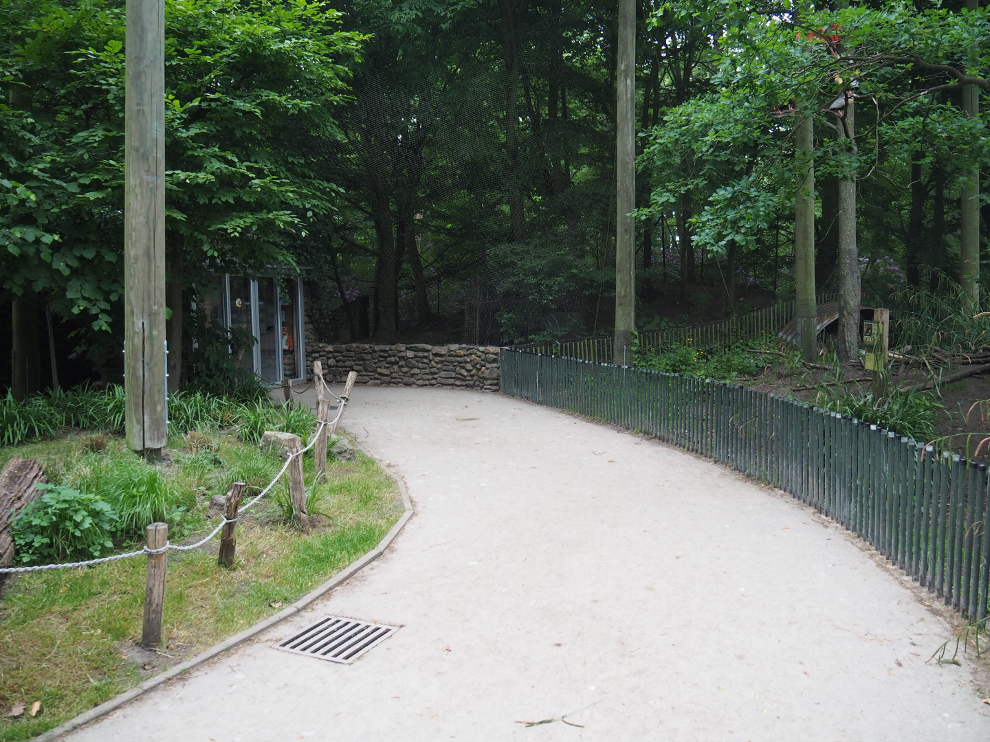 Walkway in the European aviary, between the Elbe European beaver exhibit and the bird area, 2020-05-23