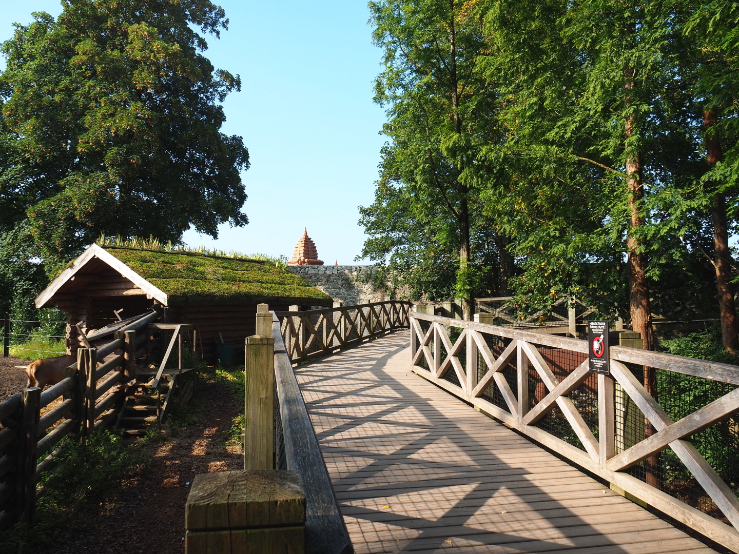 Walkway in The Land of the Cold, with views of wapiti paddock and Raccoon/Striped skunk exhibit, 2021-09-02