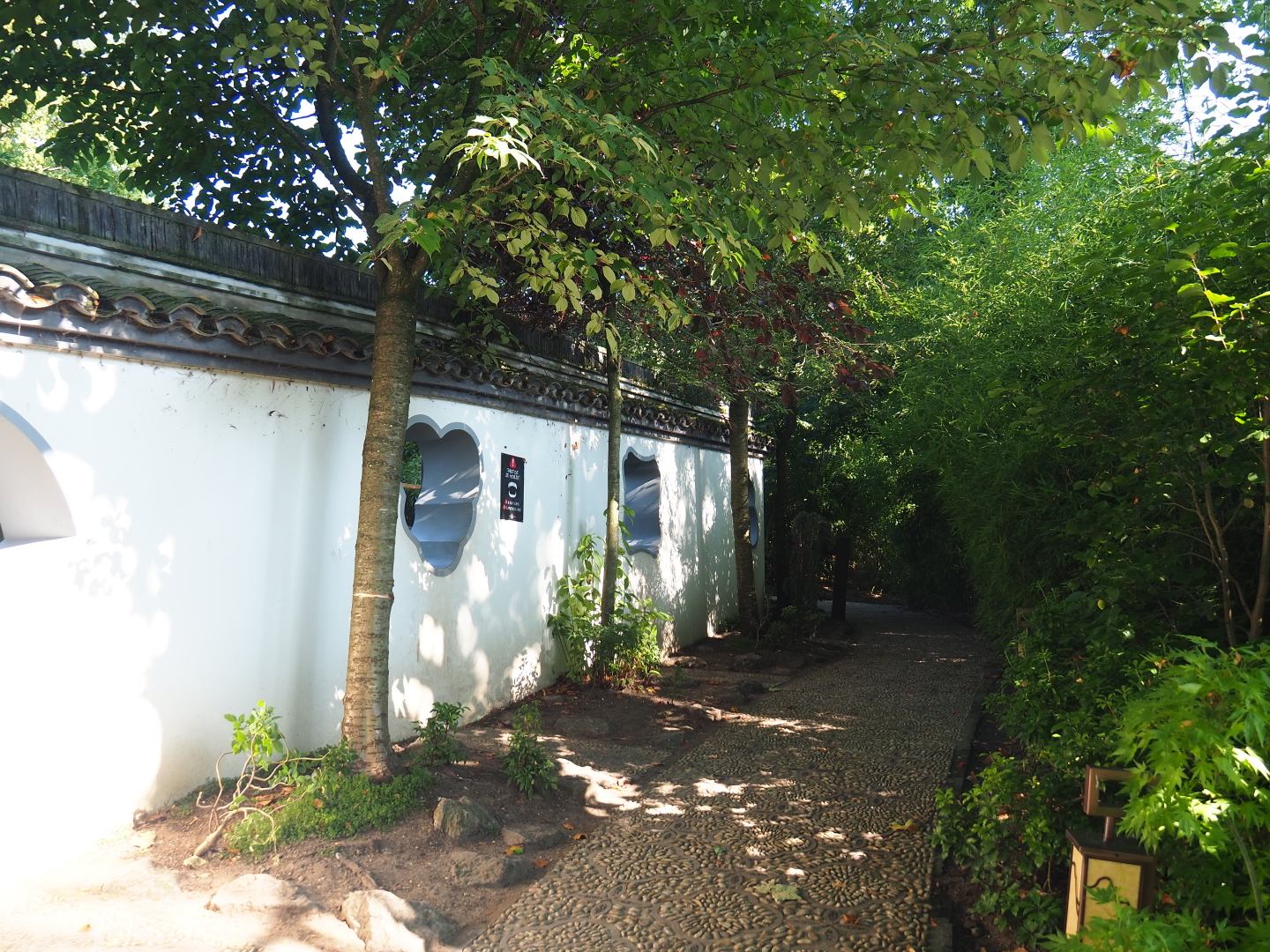 Walkway in The Middle Kingdom along the outer wall of the raccoon dog exhibit with viewing windows, 2021-09-03