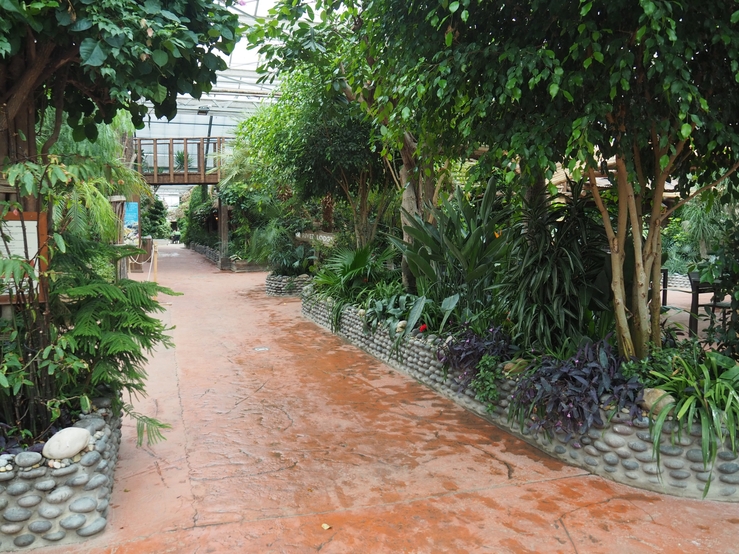 Walkway in the Oasis, 2020-09-03